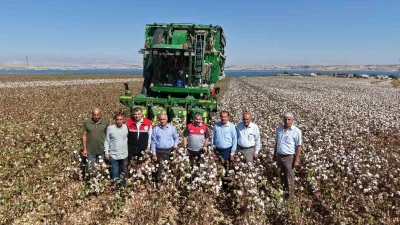 Adıyaman’da 2025 yılı pamuk hasadı başladı
