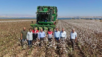 Adıyaman’da 2025 yılı pamuk hasadı başladı