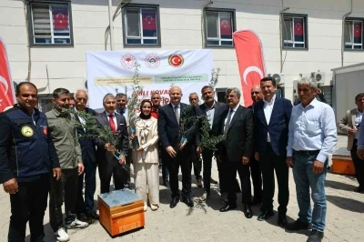 Adıyaman&rsquo;da &ccedil;ift&ccedil;ilere zeytin fidanı ve arılı kovan desteği
