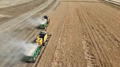 Adıyaman&rsquo;da hububat hasadı başladı
