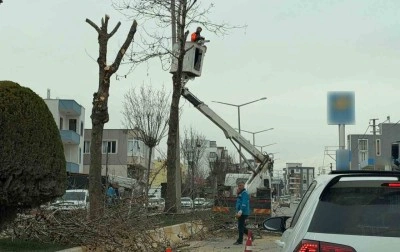 Adıyaman&rsquo;da ref&uuml;jlerdeki ağa&ccedil;lar budanıyor