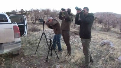 Adıyaman&rsquo;da yaban ke&ccedil;ileri tek tek sayılıyor