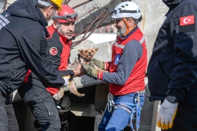 Afetlerde mahsur kalan hayvanlar unutulmayacak
