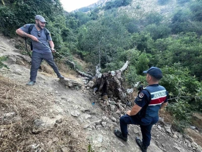 Ağa&ccedil; yangını korkuttu
