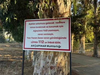 Ağaçlara yazı yazanları tabela ile uyardı
