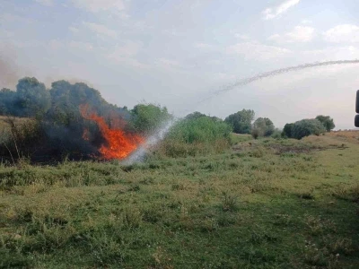 Ağaçlık alanda çıkan yangın itfaiye ekiplerince söndürüldü
