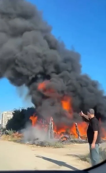 Ağaçlık alanda çıkan yangın kontrol altına alındı
