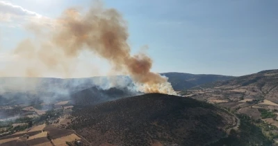 Ağaçlık alandan yükselen dumanlar kilometrelerce uzaktan görüldü
