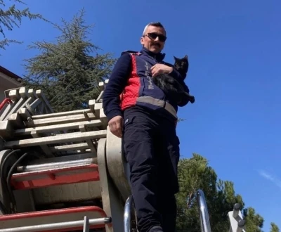 Ağa&ccedil;ta kalan kediyi itfaiye kurtardı
