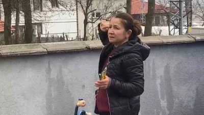 Ağa&ccedil;ta mahsur kalan kedi bir haftadır kurtarılmayı bekliyor
