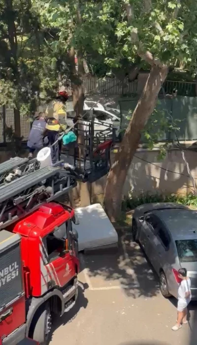 Ağa&ccedil;ta mahsur kalan kedi itfaiye tarafından kurtarıldı
