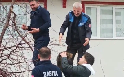 Ağa&ccedil;ta mahsur kalan kediye zabıtadan kurtarma operasyonu
