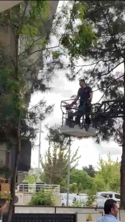 Ağa&ccedil;ta mahsur kalan kediyi itfaiye kurtardı
