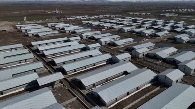 Ağrı&rsquo;da 307 ahırlık hayvancılık &uuml;ss&uuml; hayata ge&ccedil;iyor
