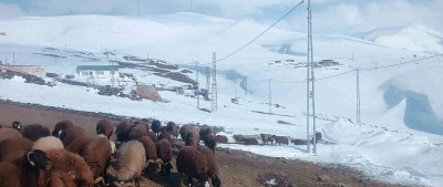 Ağrı&rsquo;da Nisan ayında kar yağışı yolları kapattı
