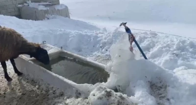 Ağrı&rsquo;da soğuk hava etkisini g&ouml;stermeye devam ediyor
