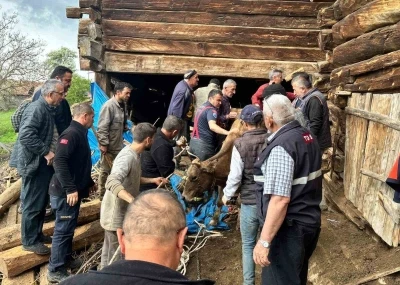 Ahır g&ouml;&ccedil;&uuml;ğ&uuml;nde can pazarı: Kadın ağır yaralı kurtarıldı, hayvanlar enkaz altında kaldı
