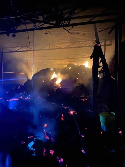 Ahırda yangınında 1 buzağı telef oldu
