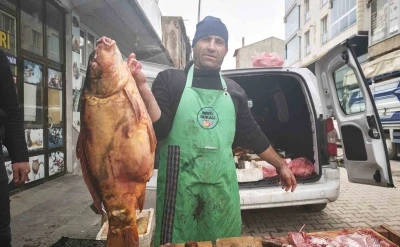 Ahlat&rsquo;ta dev sazan balıklarına yoğun ilgi
