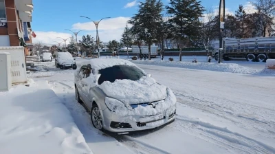 Ahlat&rsquo;ta kar yağışı: 20 k&ouml;y yolu ulaşıma kapandı
