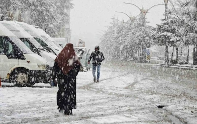 Ahlat&rsquo;ta nisan karı etkili oldu
