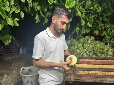 Ailecek enginar soyucular: Soyması 10 saniye s&uuml;r&uuml;yor
