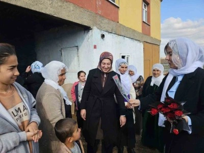 AK Parti heyeti &Ccedil;ınar&rsquo;da Kadınlar G&uuml;n&uuml;n&uuml; kutladı