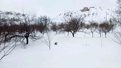 Ak&ccedil;adağ&rsquo;da kar kalınlığı 1 metreye yaklaştı
