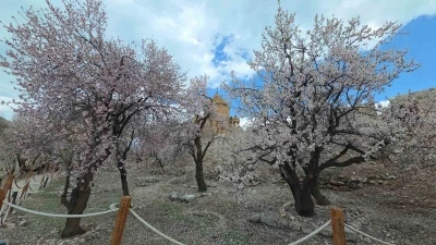 Akdamar Adası&rsquo;nda renk c&uuml;mb&uuml;ş&uuml;
