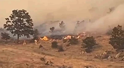 Aksaray’da ağaçlık alanda yangın
