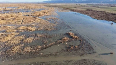 Akşehir G&ouml;l&uuml;&rsquo;nde yıllardır g&ouml;r&uuml;lmeyen oldu
