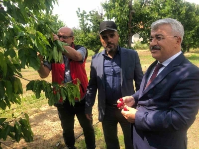 Akşehir Kirazı&rsquo;nın geleceği sahada değerlendirildi
