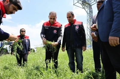 Akyaka&rsquo;da dolu yağışı tarım arazilerini vurdu: Hasar tespit &ccedil;alışmaları s&uuml;r&uuml;yor
