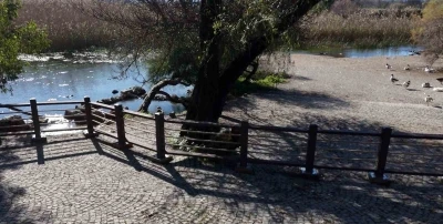 Akyaka Kadın Azmağında doğal dokuyu koruyan çalışma tamamlandı
