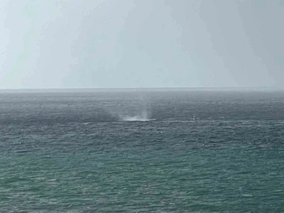 Alanya açıklarında oluşan hortum korkuttu
