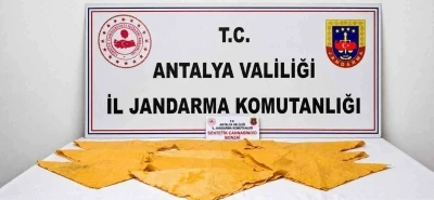 Alanya&rsquo;da 1 kilo uyuşturucu madde ele ge&ccedil;irildi
