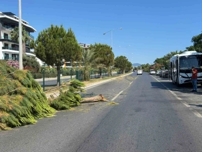 Alanya&rsquo;da alkoll&uuml; s&uuml;r&uuml;c&uuml;n&uuml;n kullandığı midib&uuml;s ref&uuml;j&uuml; aşıp karşı şeride ge&ccedil;ti

