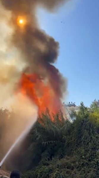 Alanya’da çalılık alanda çıkan yangında 2 sera ve 2 dönüm arazi zarar gördü
