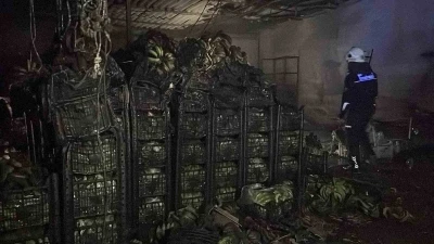 Alanya&rsquo;da muz sarartma tesisinde yangın: Tonlarca muz zarar g&ouml;rd&uuml;
