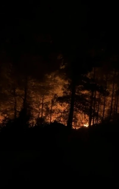 Alanya’da ormanlık alanda yangın
