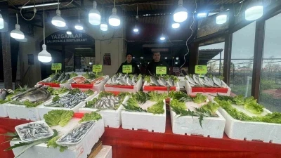 Alaplı balık&ccedil;ı tezgahlarında &ccedil;eşit bitti mezgit fiyatı 500 liraya &ccedil;ıktı
