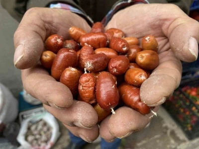 Alaşehir’de iğde ağaçlarının sayısı her geçen gün azalıyor
