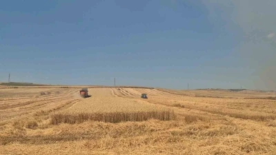 Alevlerle bi&ccedil;erd&ouml;ver yarışı: Yangının dibinde zamanla yarış
