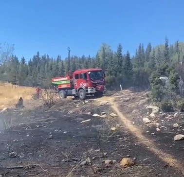 Aliağa’da ormanlık alanda çıkan yangın hızlı müdahale ile söndürüldü
