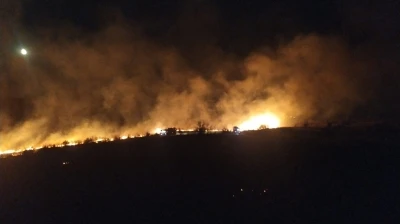 Aliağa’da otluk alanda çıkan yangın söndürüldü
