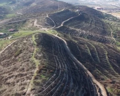 Aliağa ve Fo&ccedil;a&rsquo;da yanan orman alanları yeniden yeşile kavuşuyor
