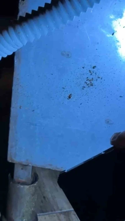 Alışveriş merkezindeki restoranlarda mide bulandıran g&ouml;r&uuml;nt&uuml;ler
