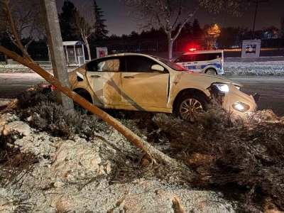 Alkoll&uuml; s&uuml;r&uuml;c&uuml; &ouml;nce ağacı devirdi ardından aydınlatma direğine &ccedil;arptı

