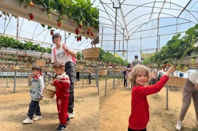 ALK&Uuml;&rsquo;l&uuml; minikler fidan dikip &ccedil;ilek topladı
