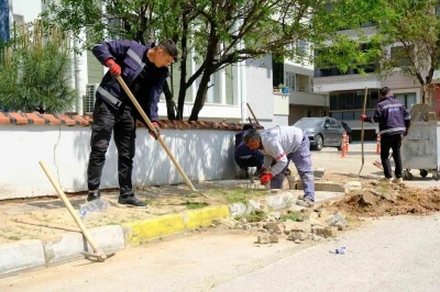 Altıeyl&uuml;l&rsquo;de park ve yeşil alanlar yaza hazırlanıyor
